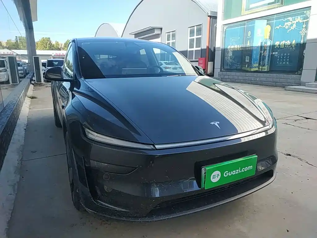 Tesla Model Y — миниатюра 4