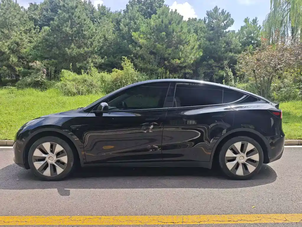 Tesla Model Y — миниатюра 5