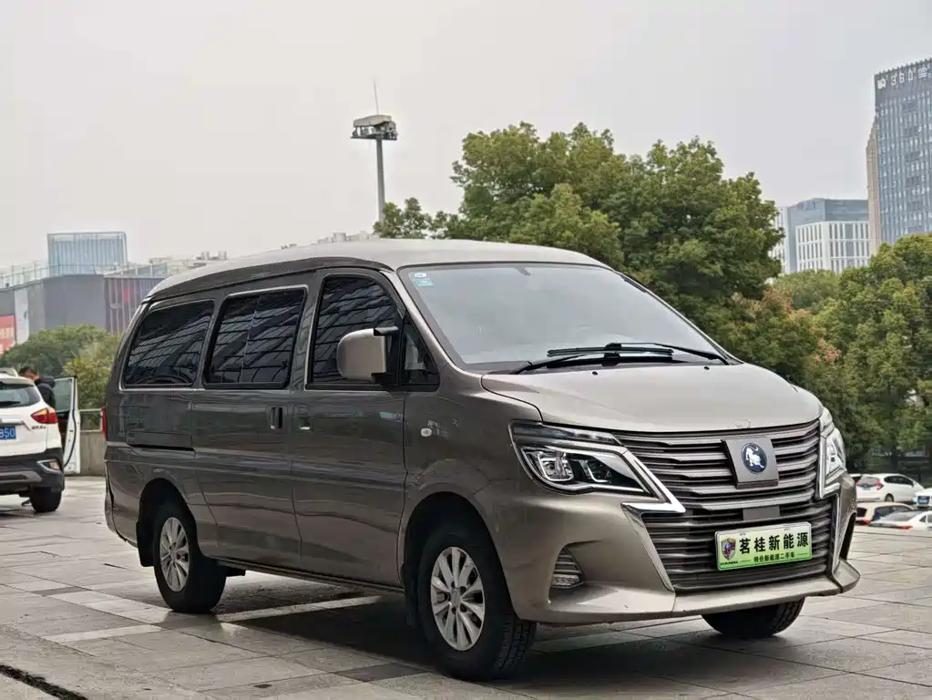DONGFENG LINGZHI NEW ENERGY
