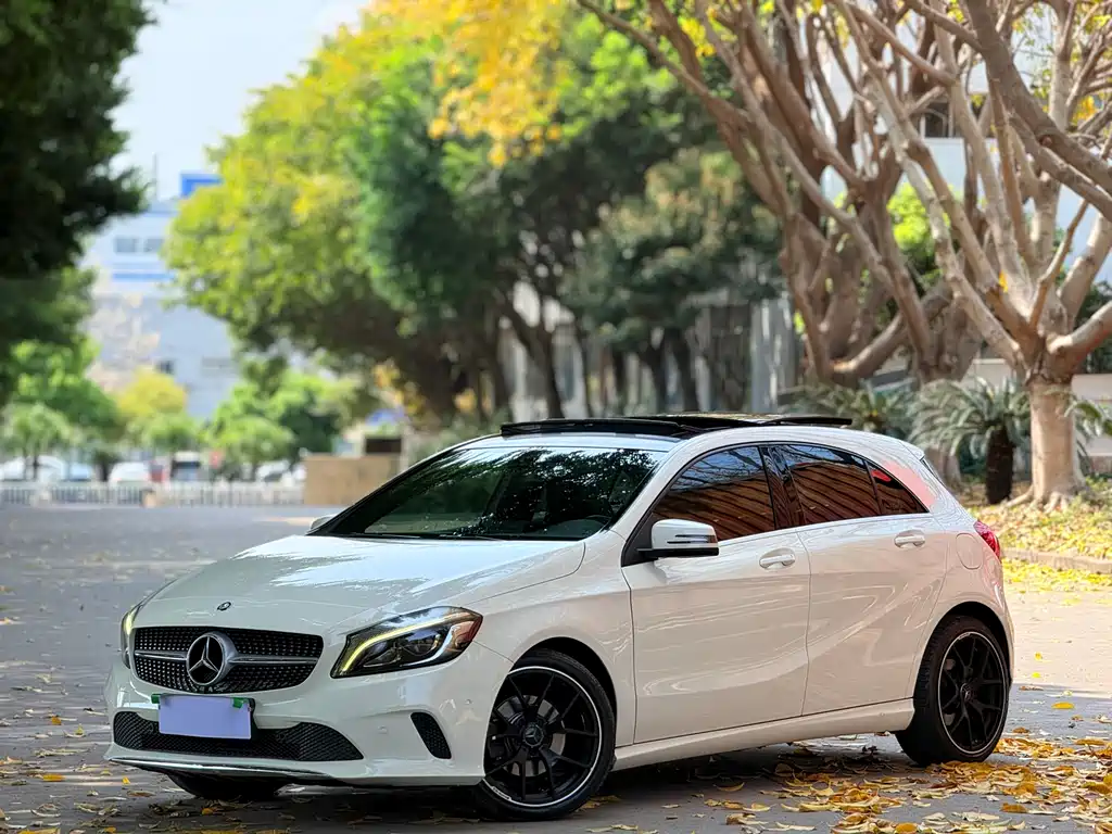 Mercedes-Benz A-Class (Import) 2016