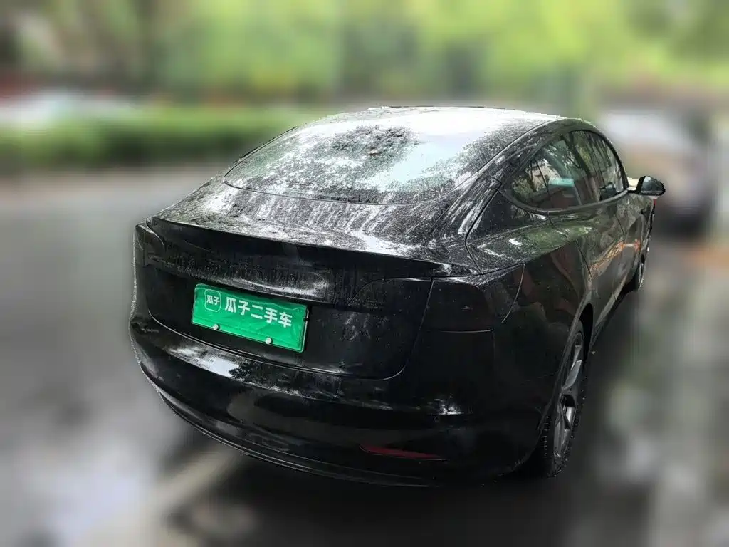 Tesla Model 3 — миниатюра 6
