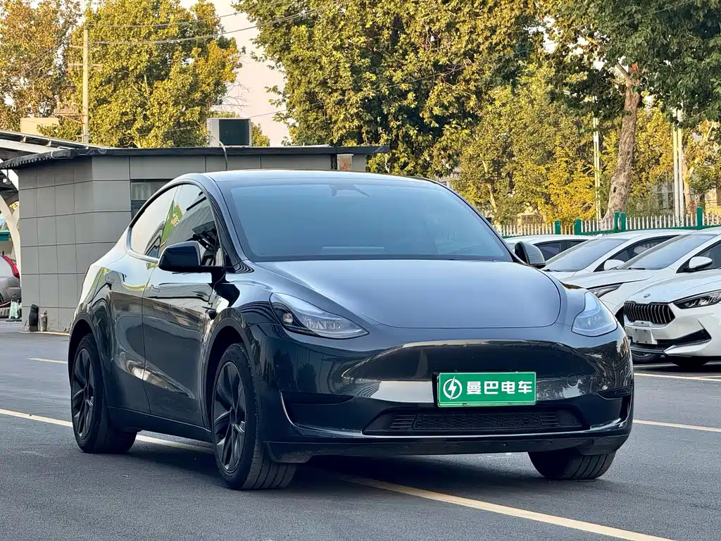 Tesla Model Y — миниатюра 3
