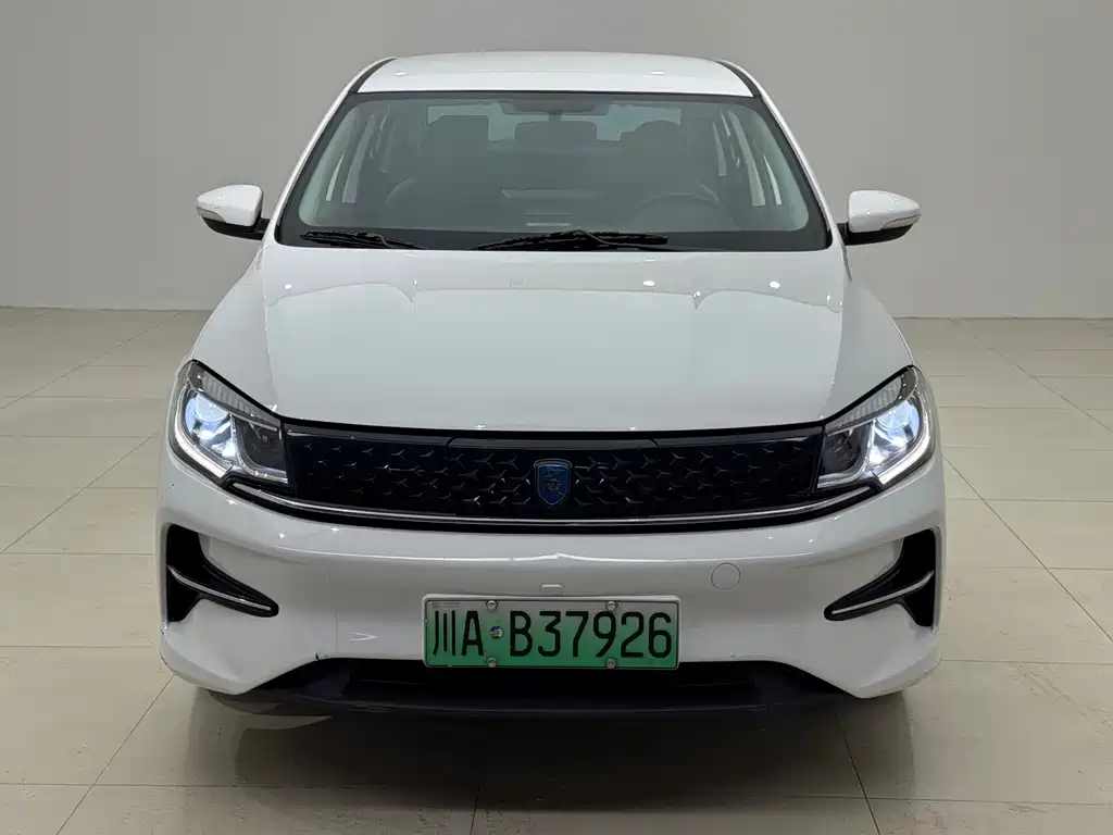 Fengxing Fengxing S60EV