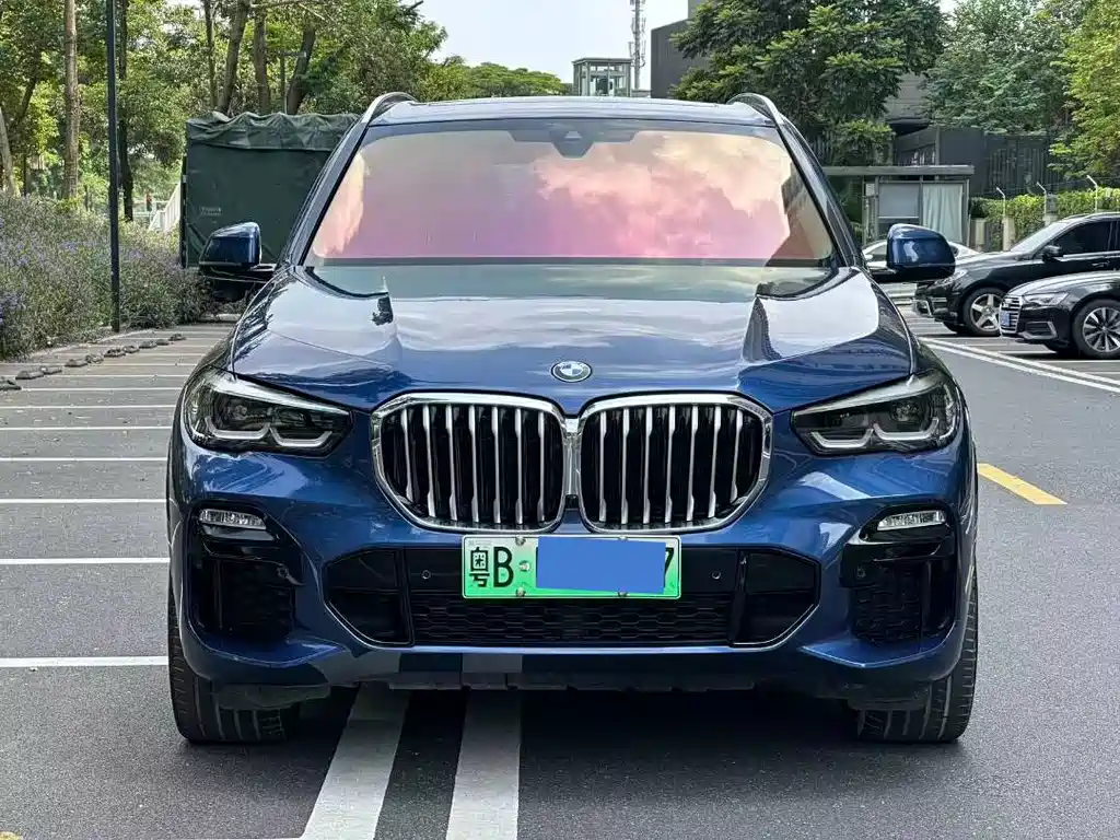 BMW X5 New Energy (Import) — миниатюра 2