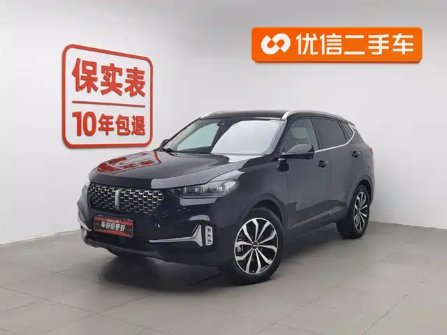 WEI PAI WEI BRAND VV6 2021