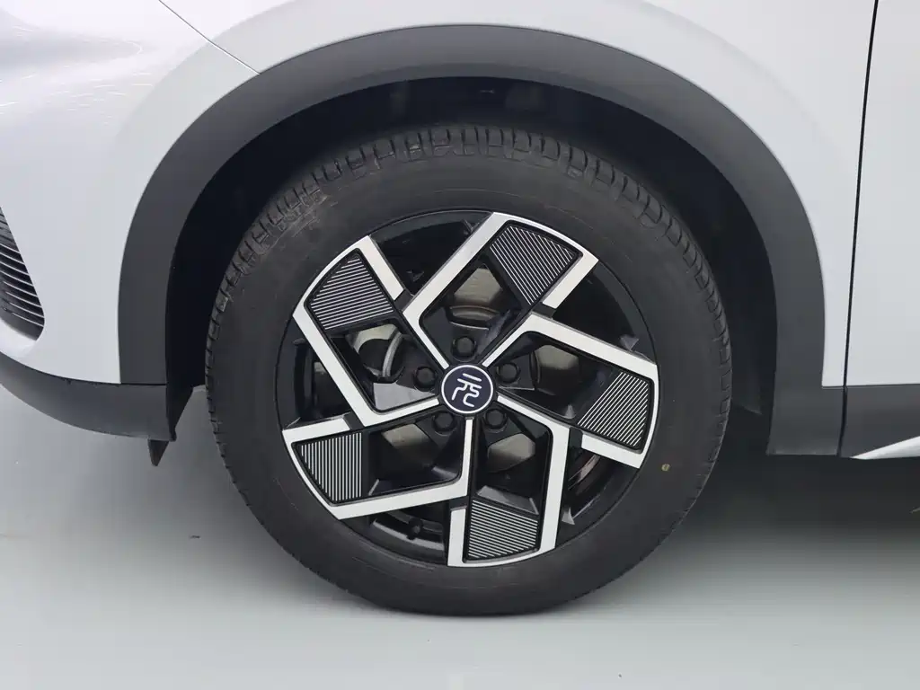 BYD Yuan Plus — миниатюра 4