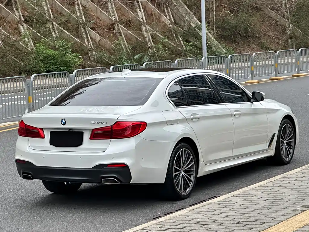 BMW 5 Series 5 2020 530Li Premium M Sport