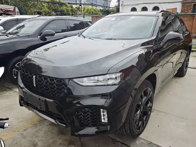 WEI PAI WEI BRAND VV7