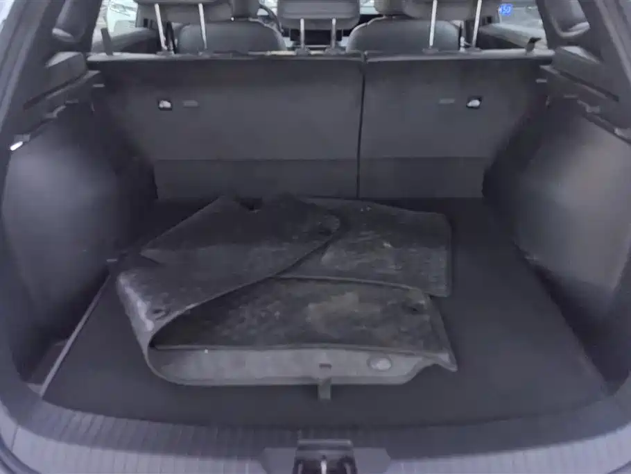 BYD SONGJIANG NEW ENERGY