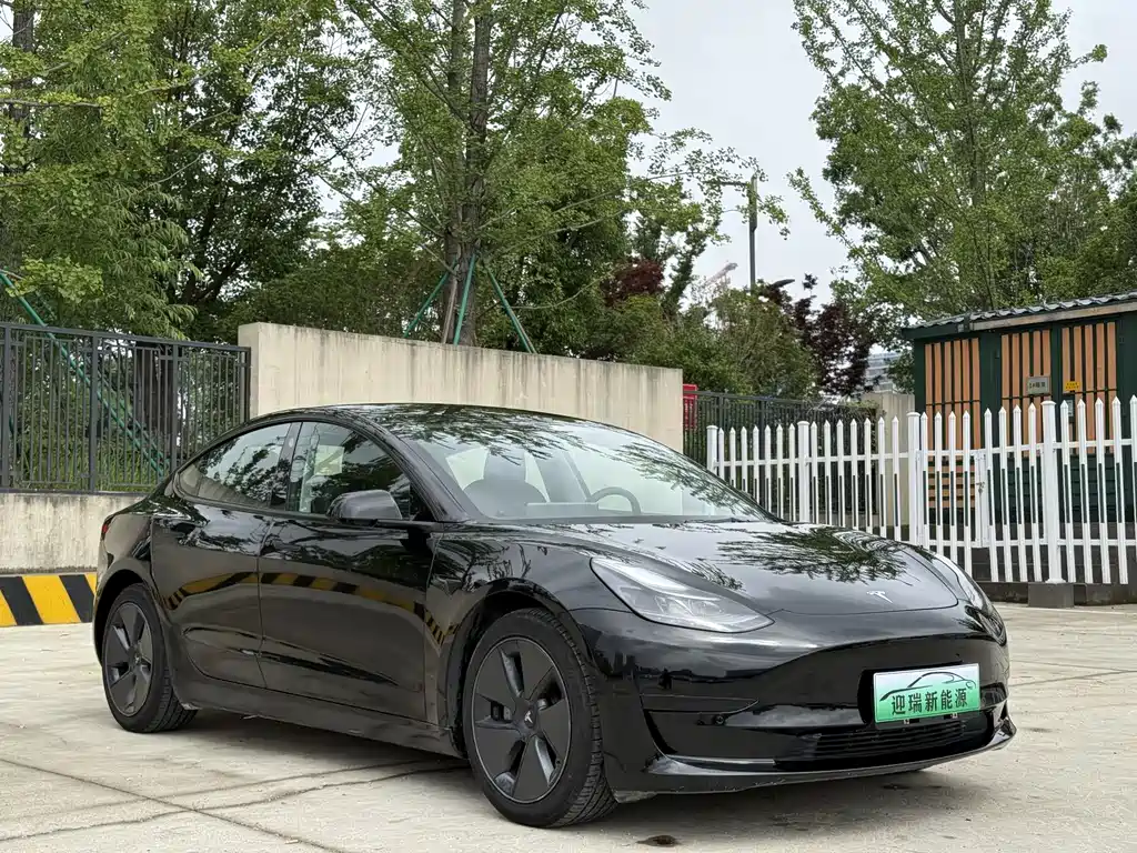 Tesla Model 3 2021 3D1