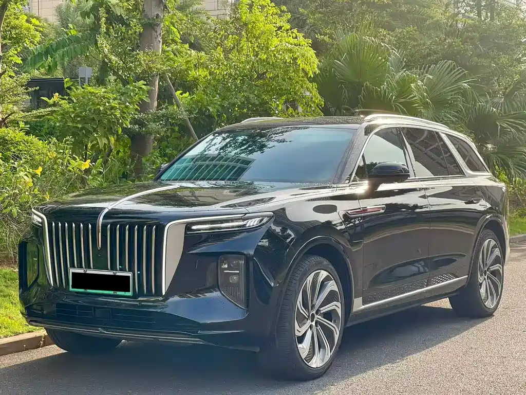 Hongqi Hongqi E-HS9