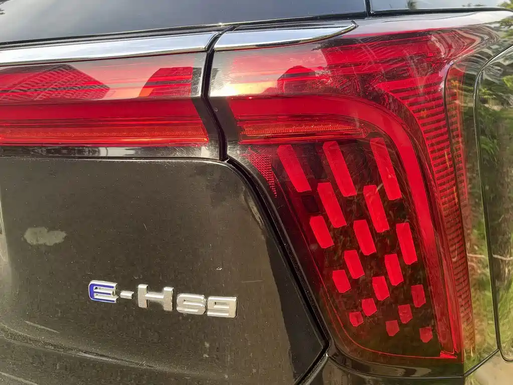 Hongqi Hongqi E-HS9 — миниатюра 12