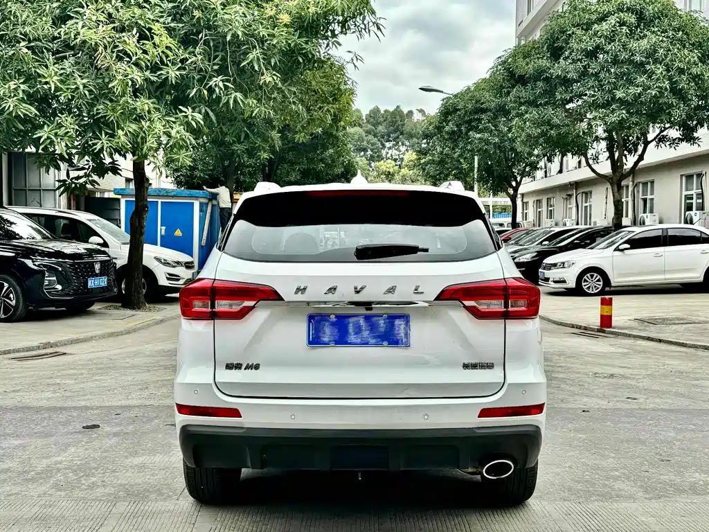 HAVAL M6