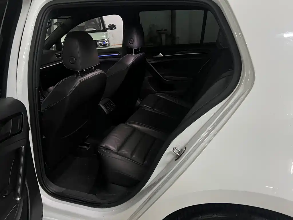 VOLKSWAGEN GOLF NEW ENERGY