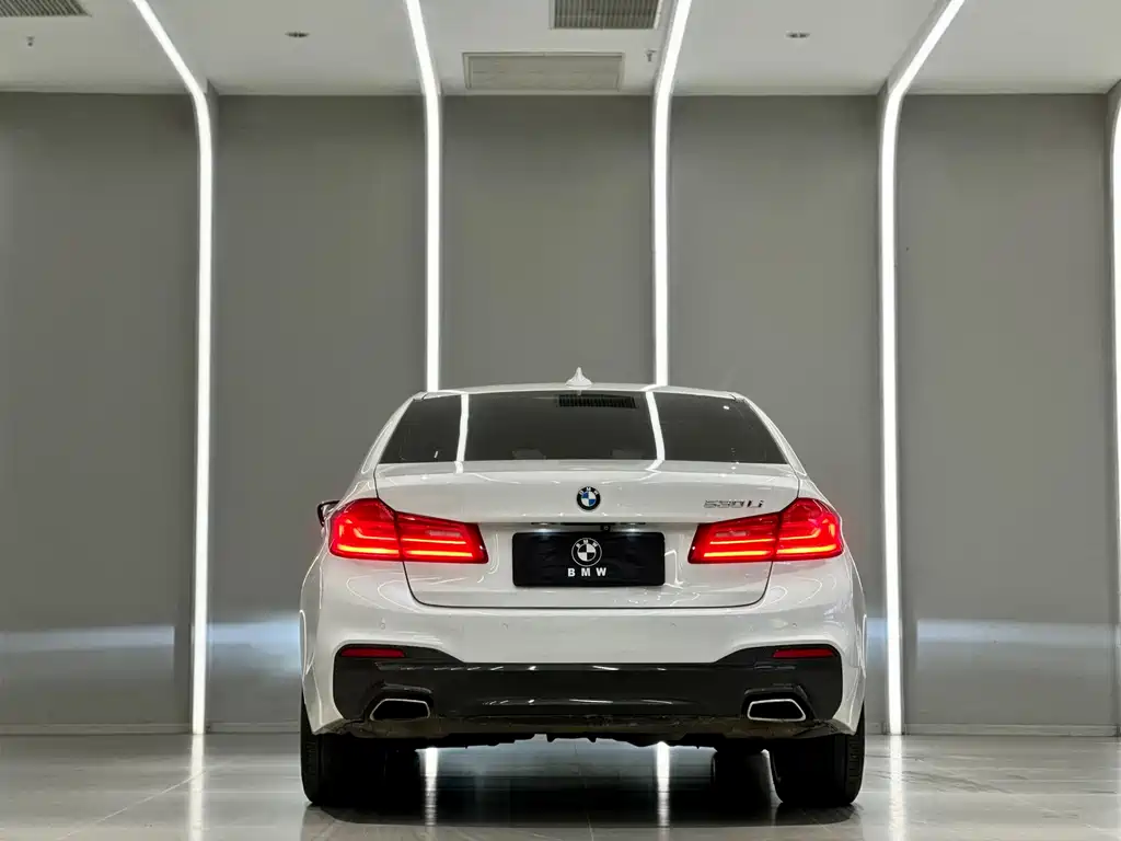 BMW 5 Series 5 2020 530Li Premium M Sport