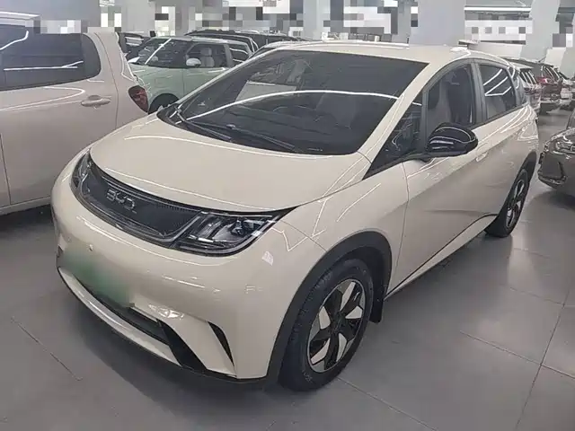 2026 BYD Dolphin