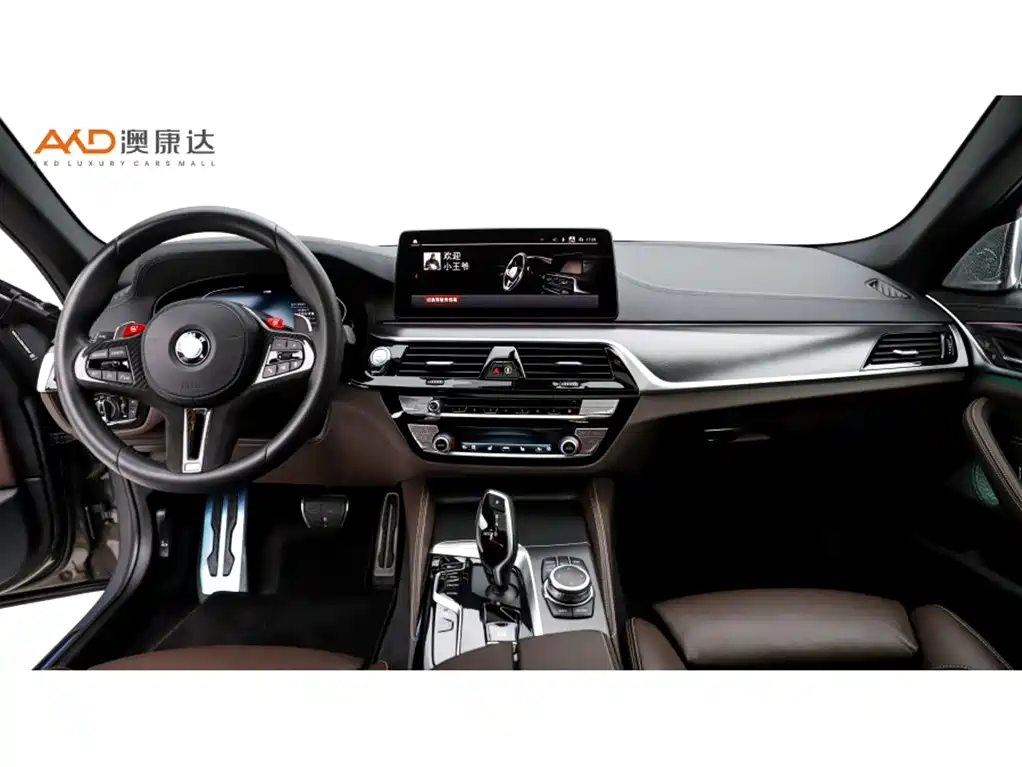 BMW 5 SERIES