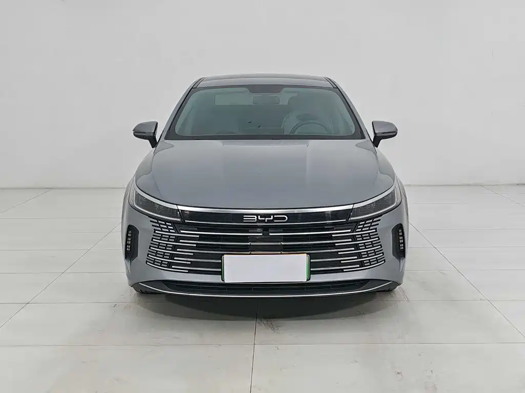 BYD Destroyer 05 2024 DM-i 55KM Luxury