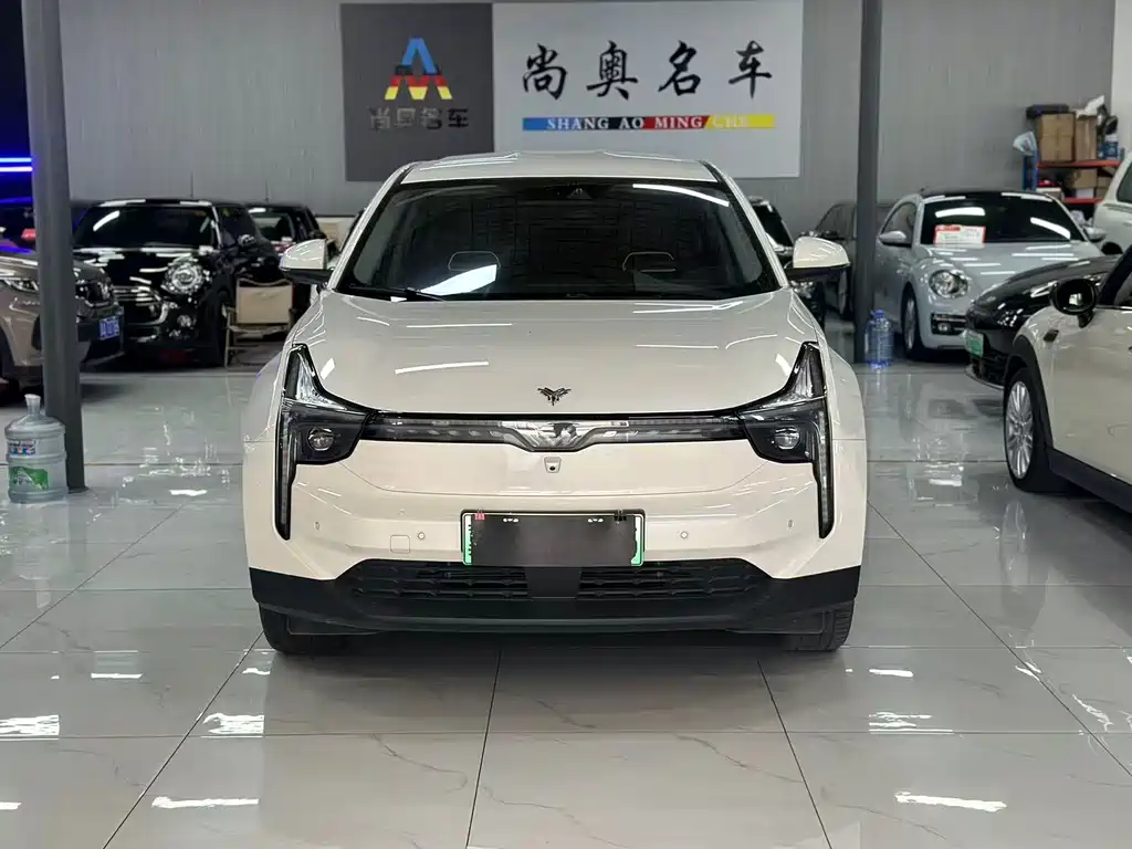 Neta U 2022 Smart 500 Pro NMC
