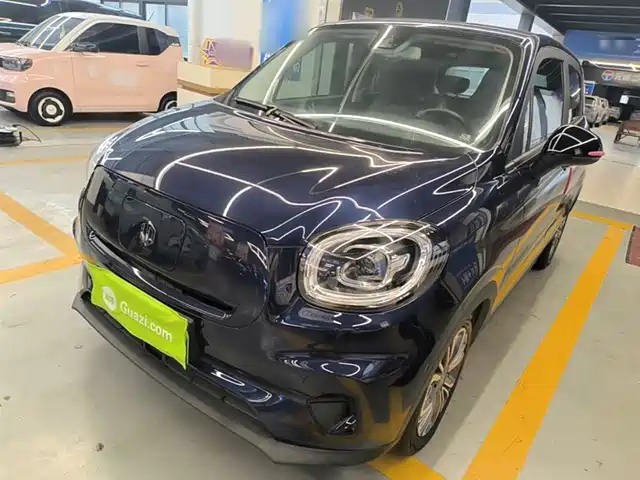 2021 Leapmotor T03