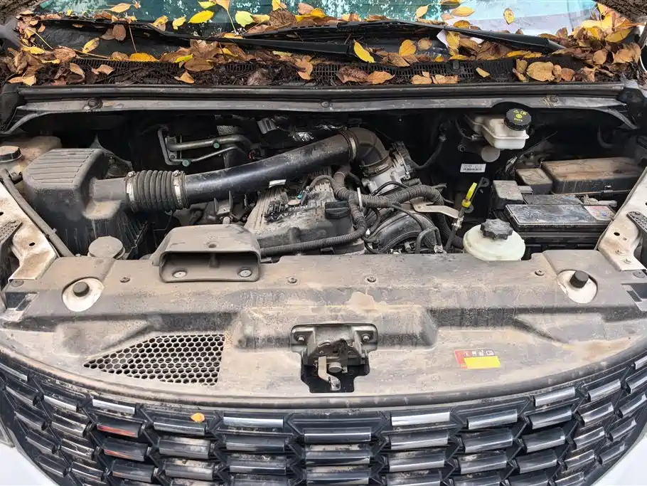 SAIC MAXUS CHASE G10