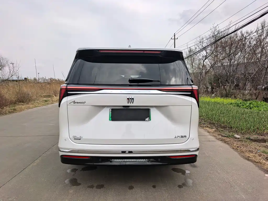 BUICK GL8 NEW ENERGY