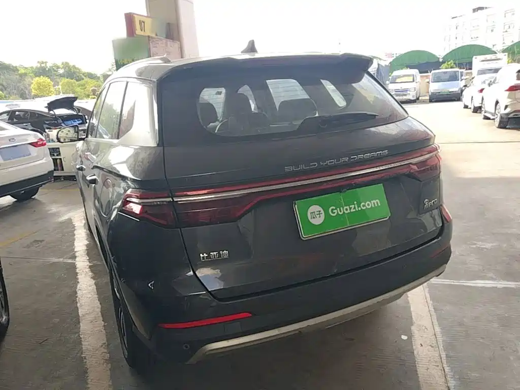 BYD Pro — миниатюра 5