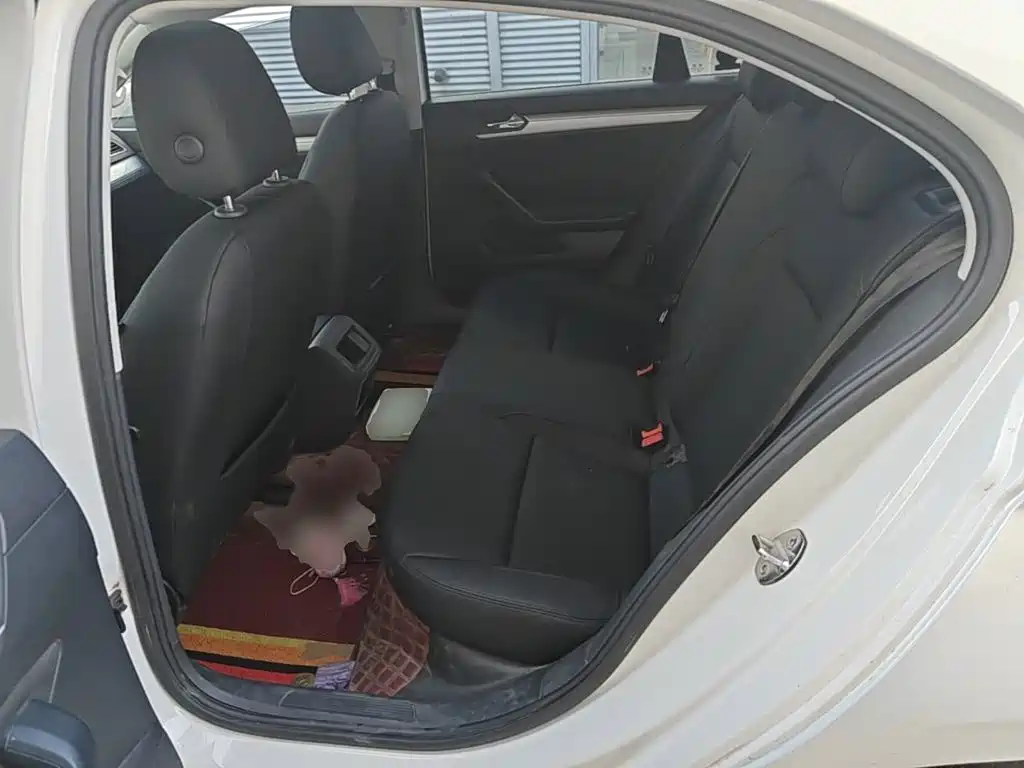 Volkswagen Lamando — миниатюра 17