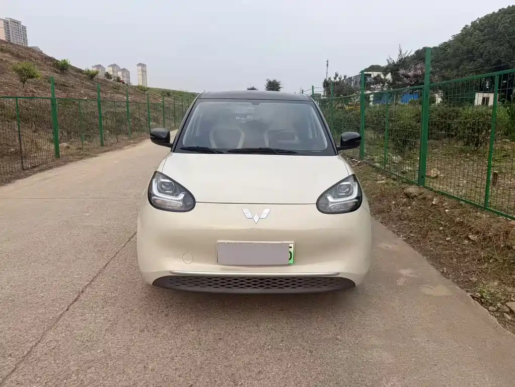 Wuling Binguo 2023 203km