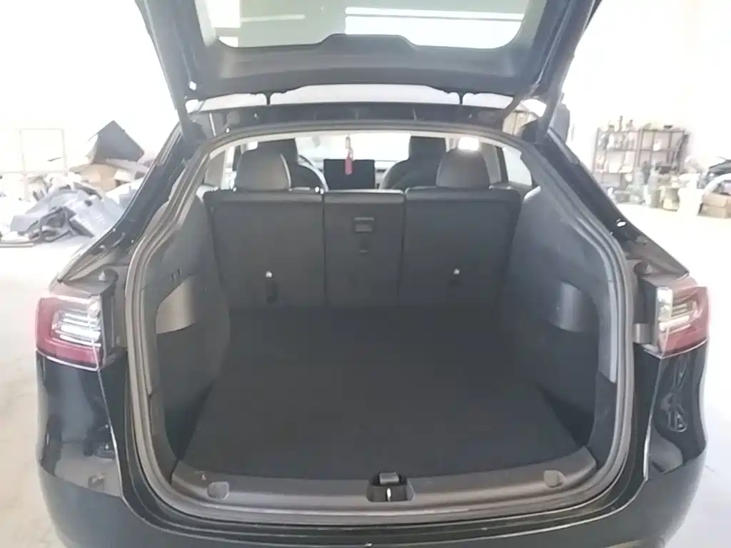 Tesla Model Y — миниатюра 19