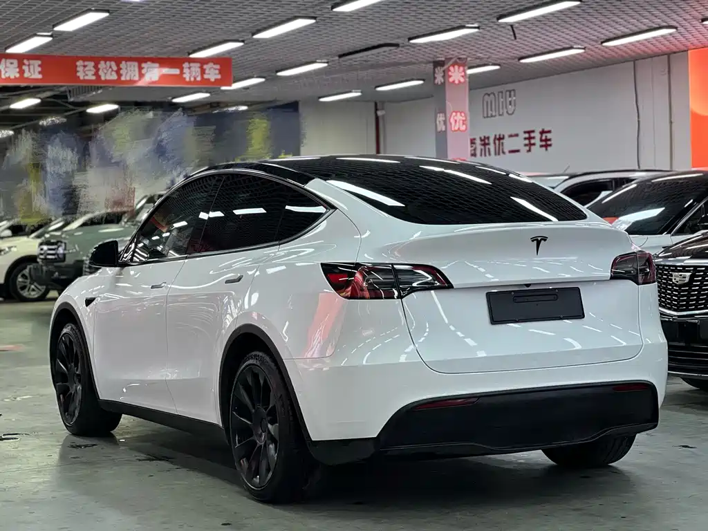 Tesla Model Y — миниатюра 7