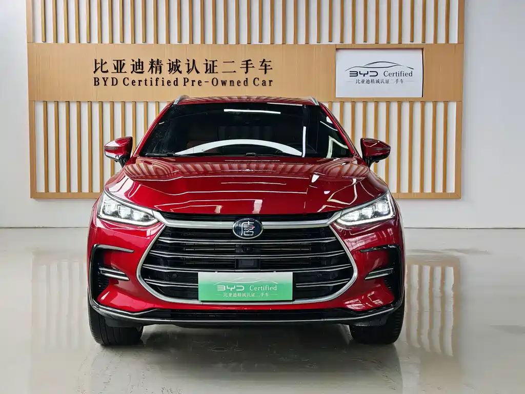 BYD Tang PHEV 2021 — фото 15