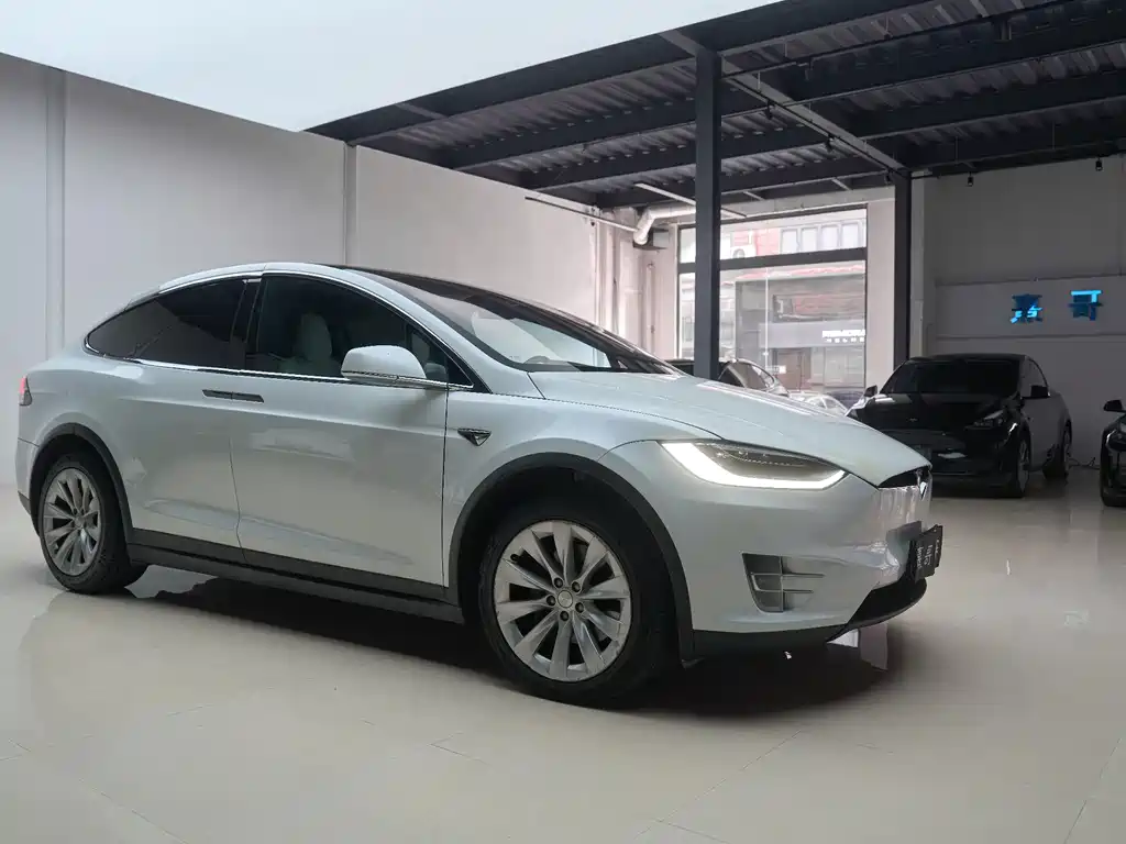 Tesla Model X — миниатюра 10