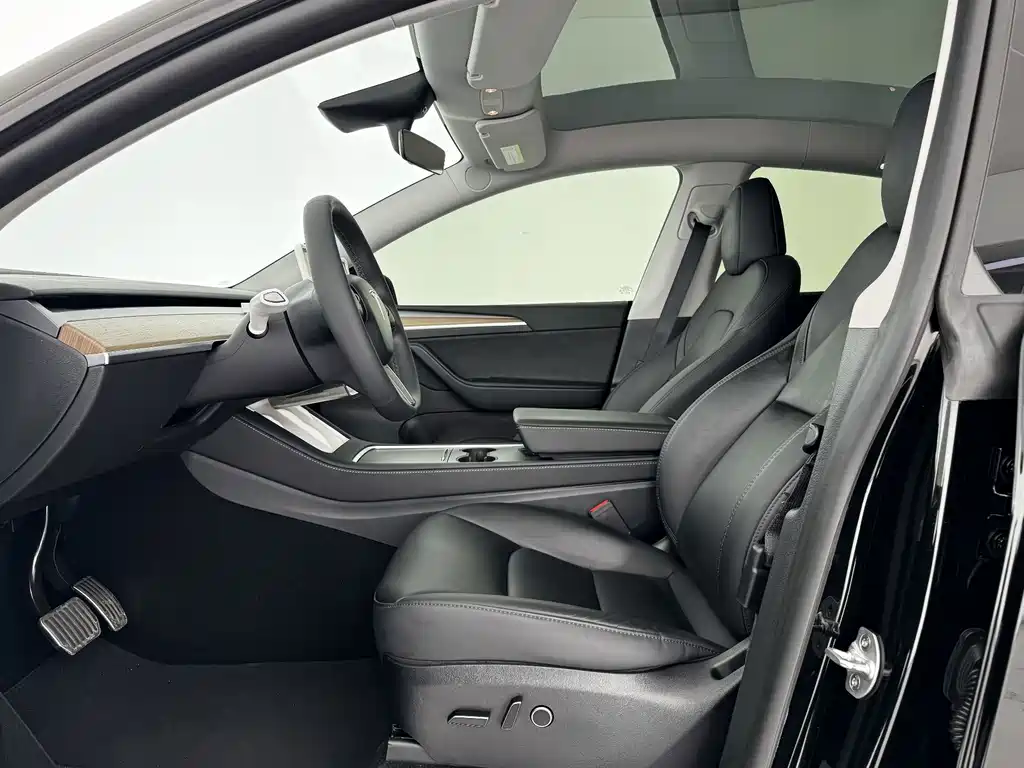 Tesla Model Y — миниатюра 7