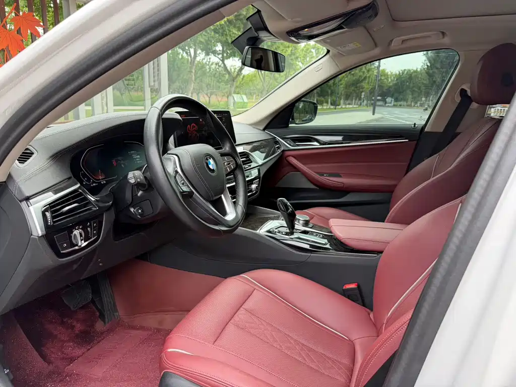 BMW 5 Series — миниатюра 5