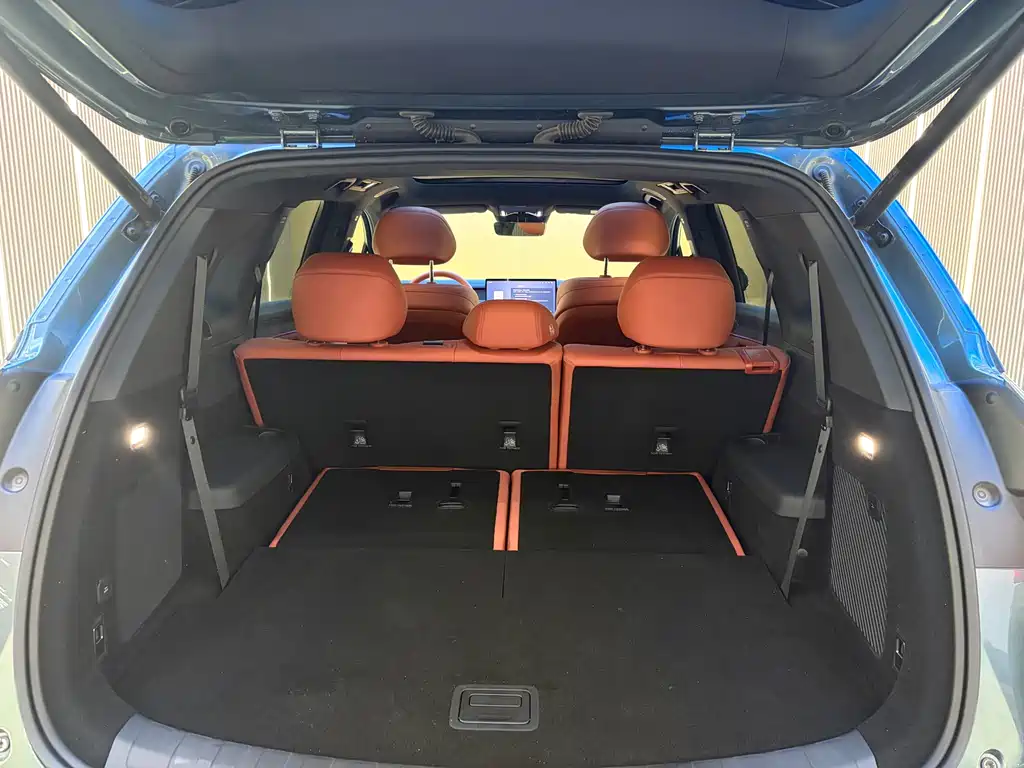 BYD Tang L L 2025 DM 175KM