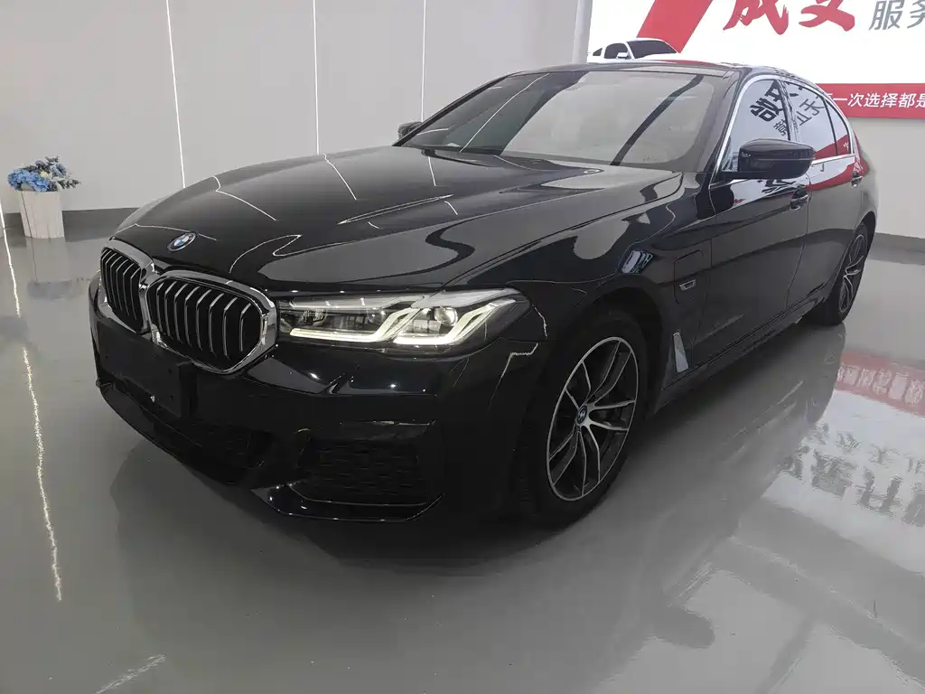 BMW 5 Series New Energy