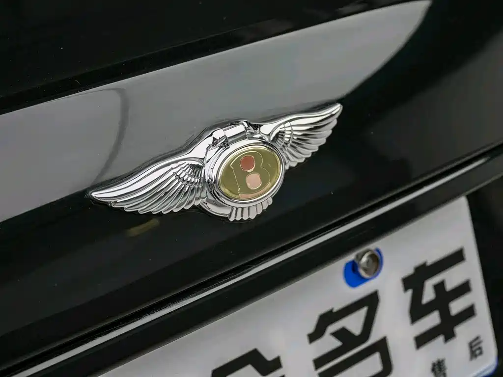 Bentley Elegance — миниатюра 22