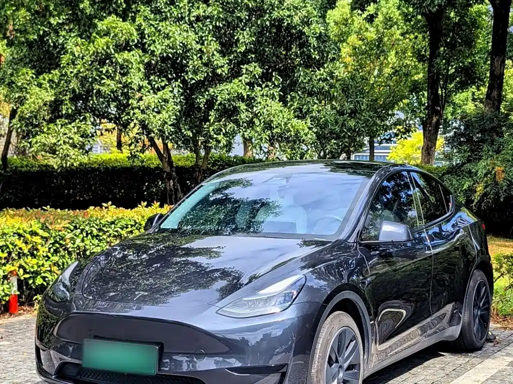 Tesla Model Y — миниатюра 3