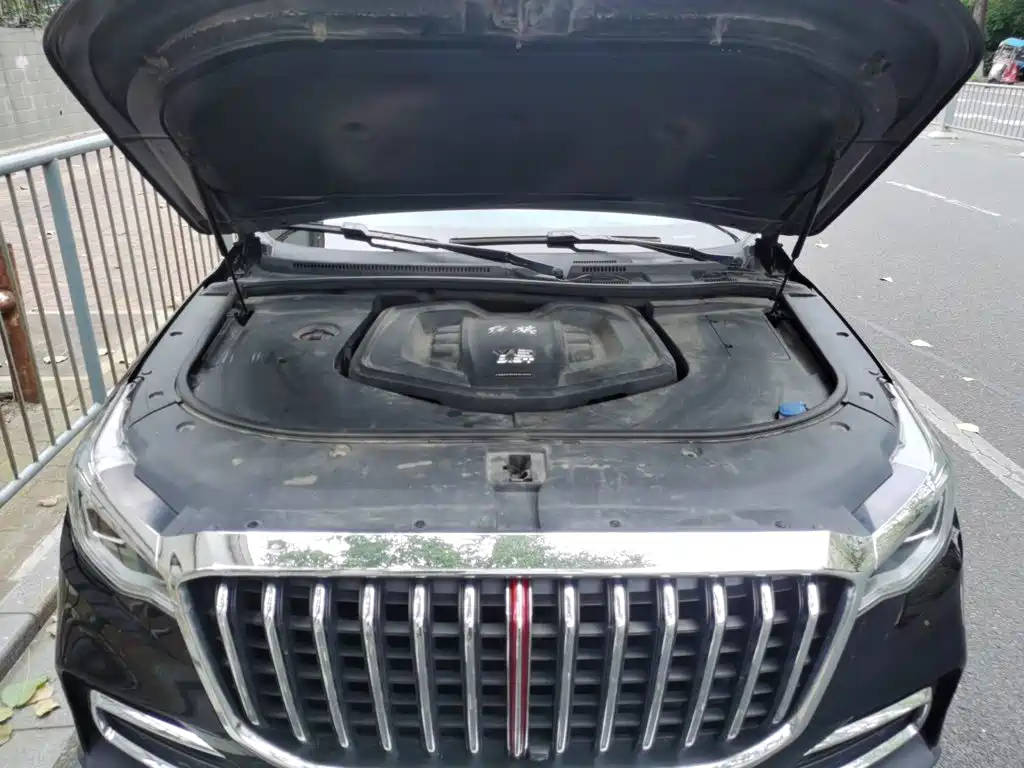 Hongqi Hongqi HS7 — миниатюра 21