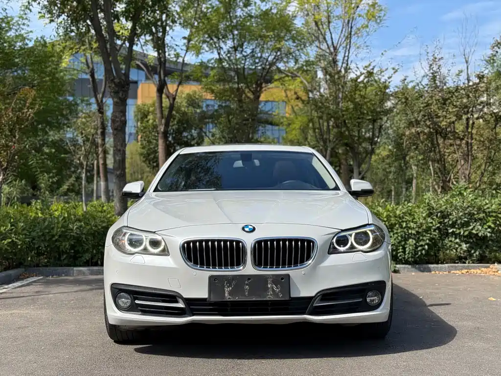 BMW 5 Series — миниатюра 2