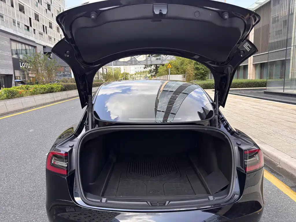 Tesla Model 3 — миниатюра 24