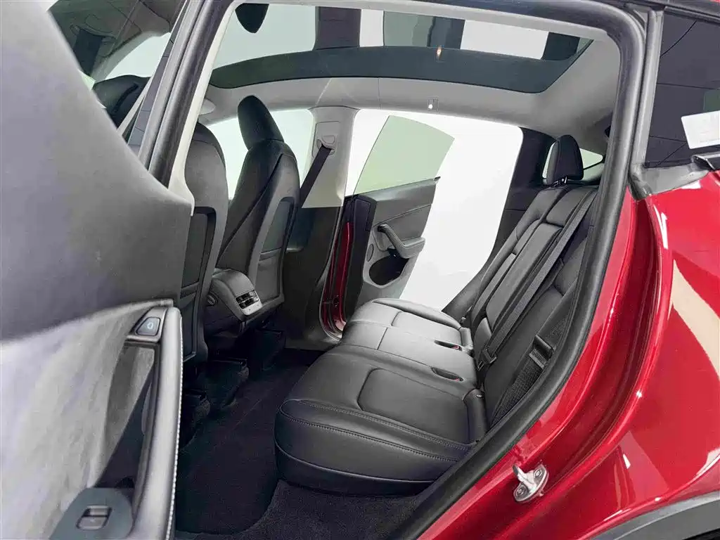 Tesla Model Y — миниатюра 5