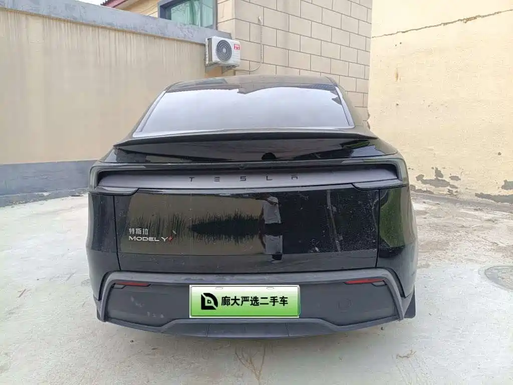 Tesla Model Y — миниатюра 5