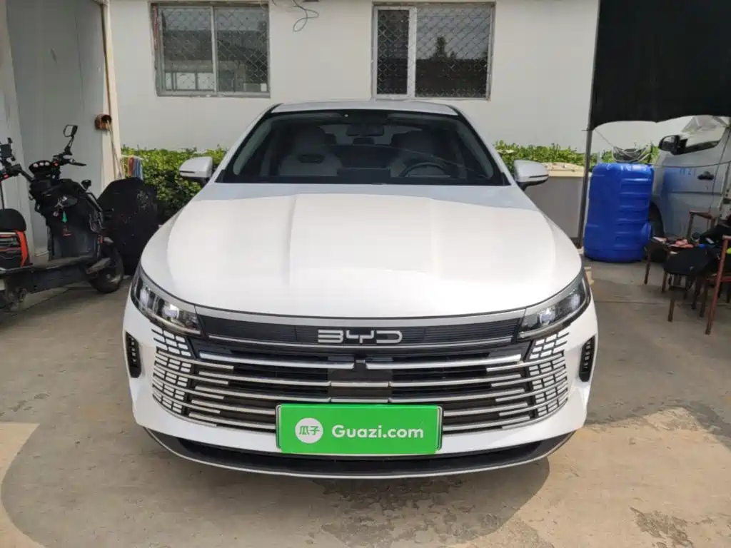 BYD Destroyer 05 2024 DM-i 55KM Luxury
