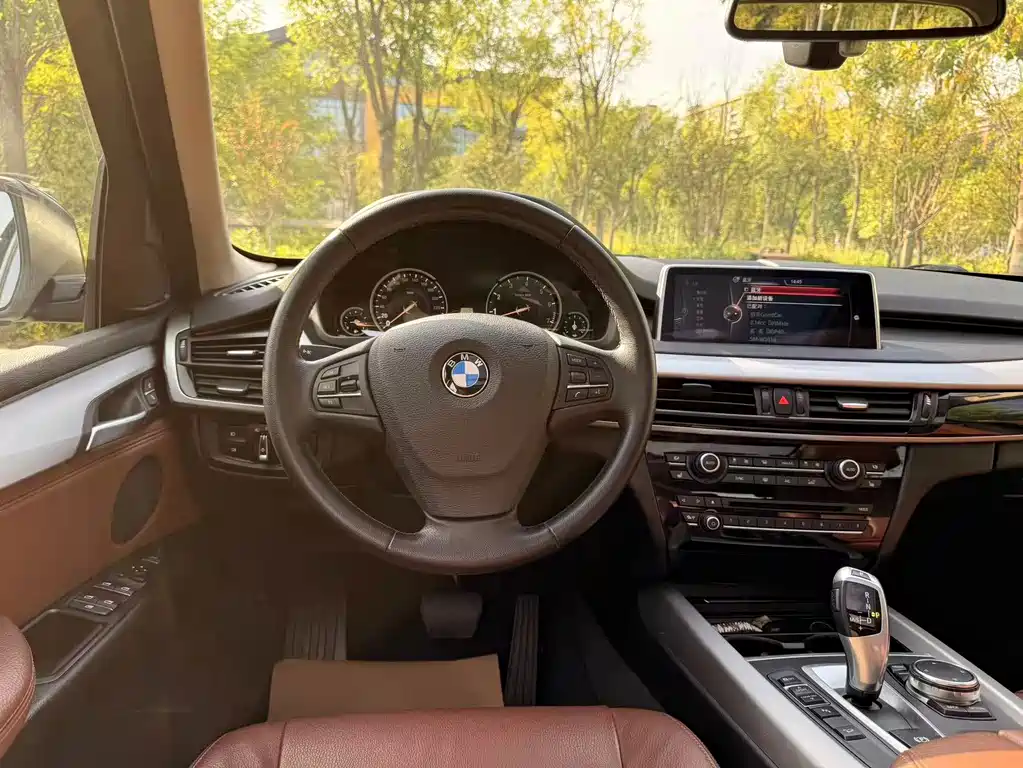 BMW X5 (Import) — миниатюра 19