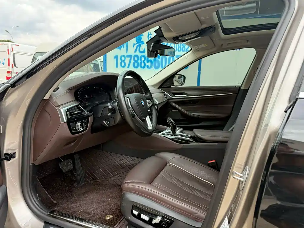 BMW 5 Series 5 2020 530Li Premium Luxury