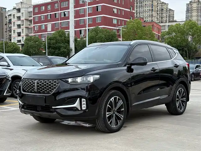 WEI PAI WEI BRAND VV6 2021