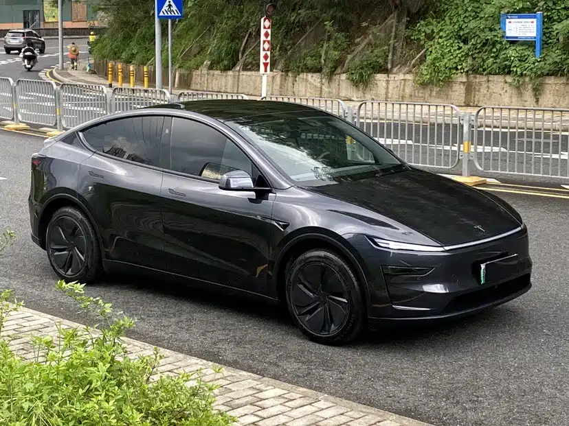 Tesla Model Y — миниатюра 3