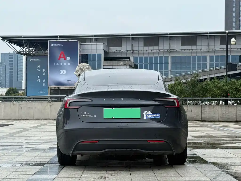 Tesla Model 3 — миниатюра 5